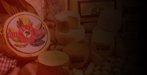 Gastronom&iacute;a y vino